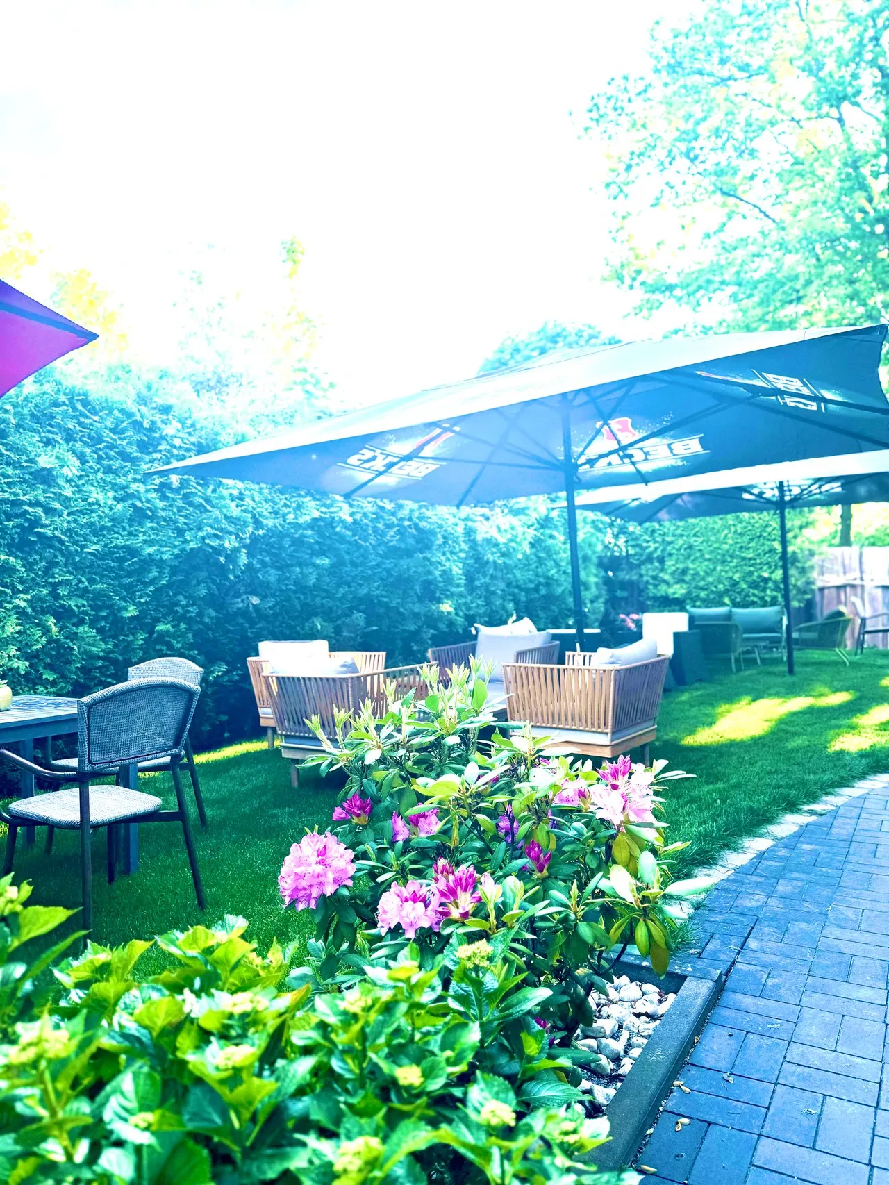 Garden and terrace